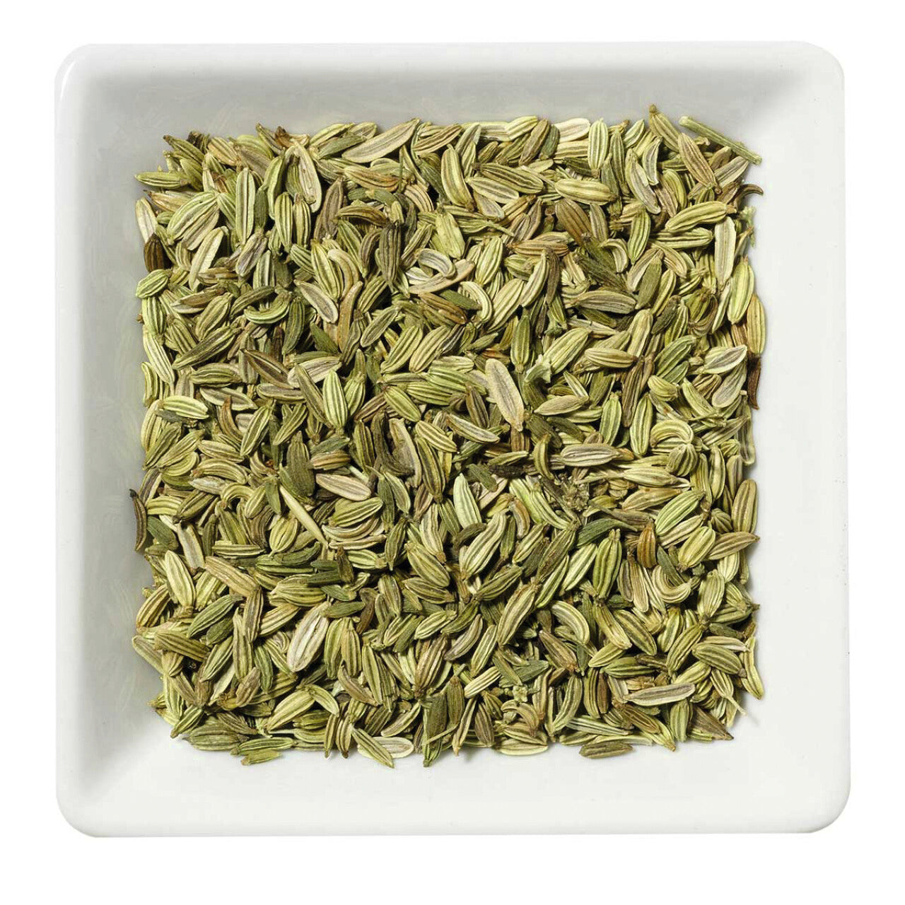 Fenchel